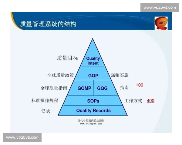以动作规范为核心构建高效行为管理与执行标准体系